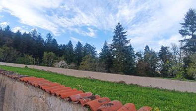 Studio cosy - Foto 3