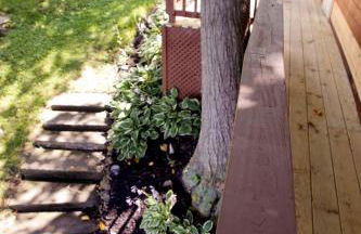 The Fish Inn - Foto 26