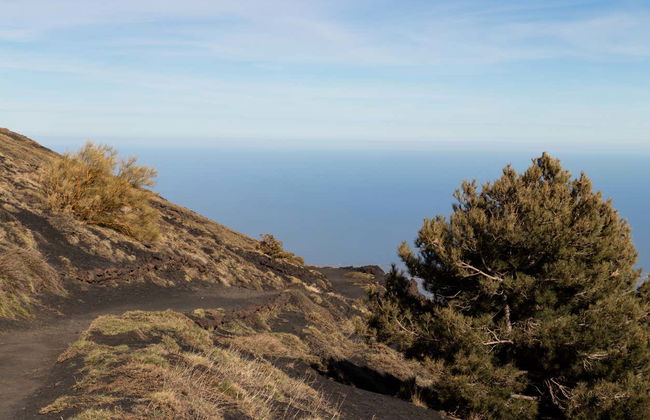 Trekking sull'Etna e alla Valle del Bove - Foto 3