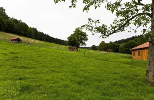 Ferienhaus Buren-Hof - Foto 38