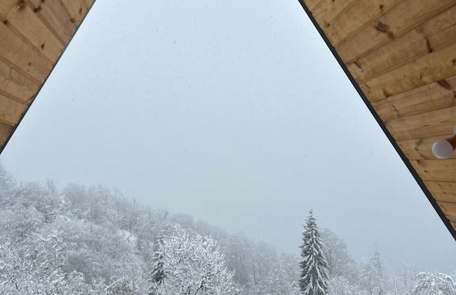 Thomas Hut - Foto 16