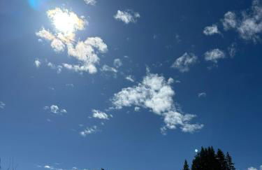 Studio au cœur du Praz-de-Lys - Les Pralyssimes - Foto 19