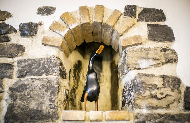 The Goose House - Foto 26