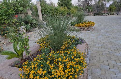 Villetta Salento Lu Trolitu - Foto 8