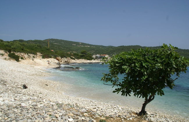 Coastal Apartment in Vis Near sea - Foto 38