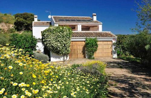 El Cerro del Almendral - Foto 3