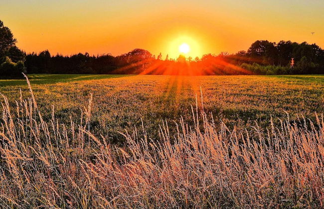 4 Person Holiday Home in Rattvik-by Traum - Foto 3