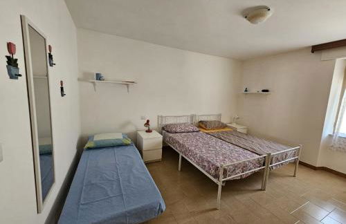 La Camelia - Foto 30