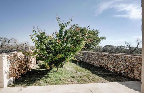 Masseria Berzario - Foto 35