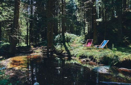 Blickinsfreie - Cabin - Foto 49