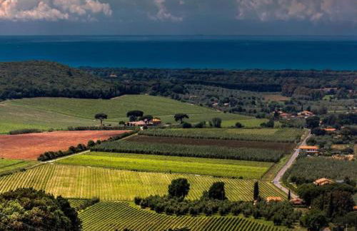 Huge Holiday Home in Marina di Castagneto Carducci near Sea - Foto 95