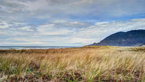 The Little Brown House MCA #705 - Foto 3