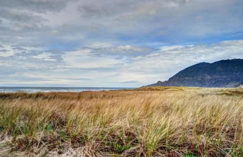 The Little Brown House MCA #705 - Foto 3