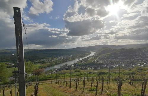 Ferienwohnungen Felten in Minheim - Foto 48