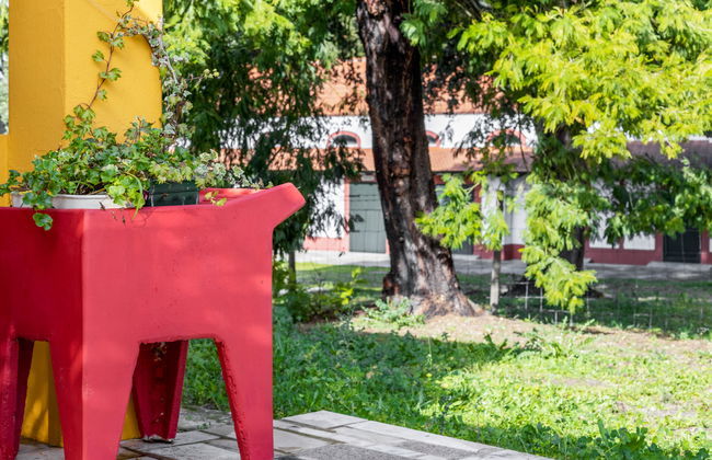 Quinta de Santa Emilia 1 - Foto 20