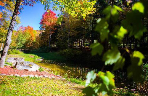 Birch Creek Lodge - Foto 16