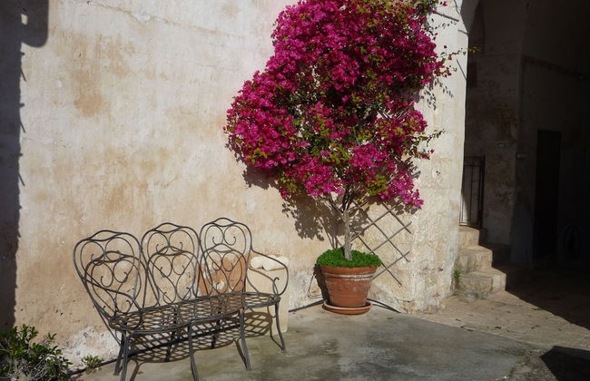 BioMasseria Santa Lucia - Photo 60