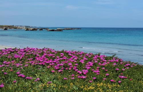 Casa vacanze ester - Foto 5