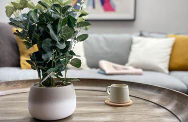 Luxury Urban Oasis with Garden and Private Studio - Foto 17