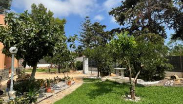 La Villetta di Sofia - Foto 4, Garden, Garden view