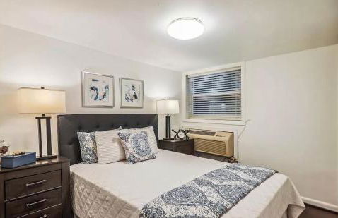 Historic Capitol Hill Retreat - Photo 7