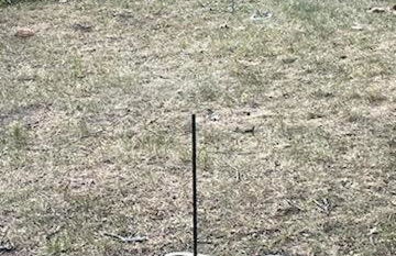 Tailgate and easy walk like a champion to ND - Foto 11