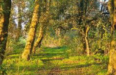 The Granary Stradbroke - Foto 35