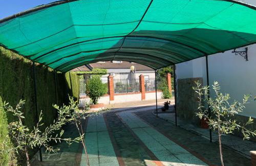 El rincón de Dory - Foto 14