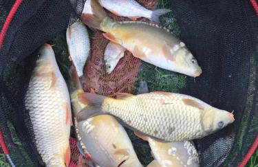 Couple’s Lodge With Hot Tub - Foto 47