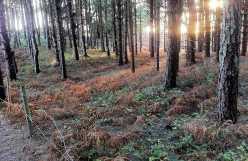 Glasfryn Rhoscolyn Relaxing family friendly home close to the beach - Foto 37