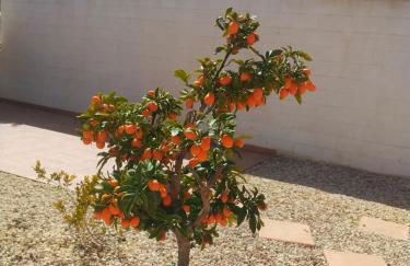 Villa Estrella - Foto 21