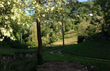 Agriturismo Fattoria Togonegro - Foto 26