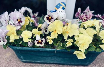 Au chemin des vignes - Foto 4