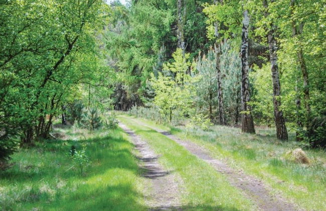 Cottage in Leenderbos Near Nature Reserve - Photo 22