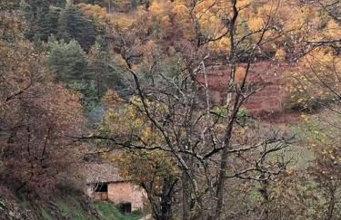 Studio Evasion Ardéchoise - Photo 11