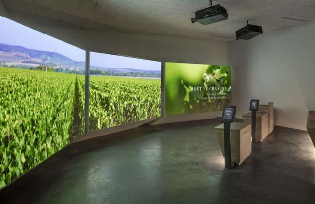 Entrada al museo enológico Pressoria + Cata de champán - Foto 9