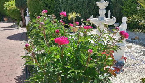 Apartment Natali - Foto 3, Garden