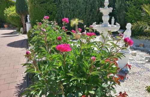 Apartment Natali - Foto 3