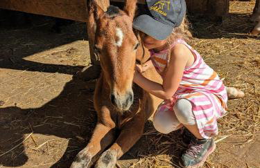 Fewo Schwarzwälder Blattert - Foto 13