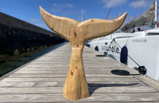 Whale & Dolphin Watching in Puerto Calero - Photo 6