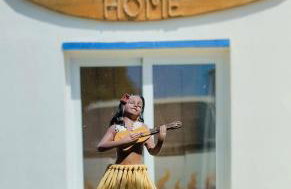 Honu Kai Aloha Home Sagres - Foto 3