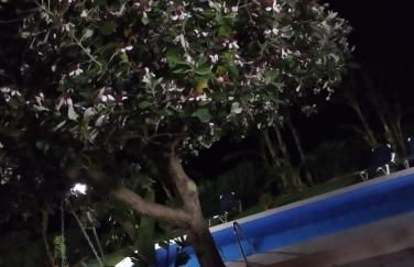 CASA VACANZE FONDACO DI SCILLATO - Foto 41