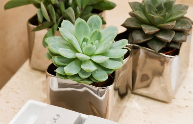 Casa Montani - Foto 42