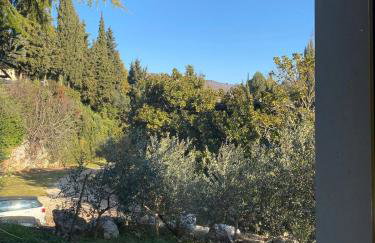 Agriturismo i Merli - Foto 45