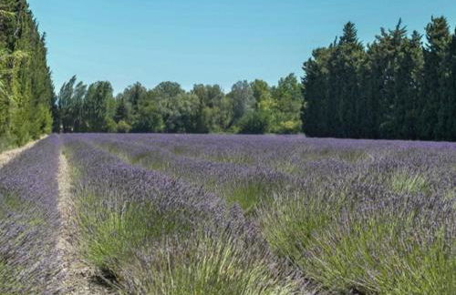 T2 Résidence Sun Hols les Rives du Lac piscine, jardin - Foto 9