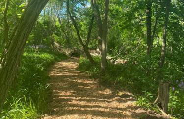 Murphys Law Inn 2 - Foto 13