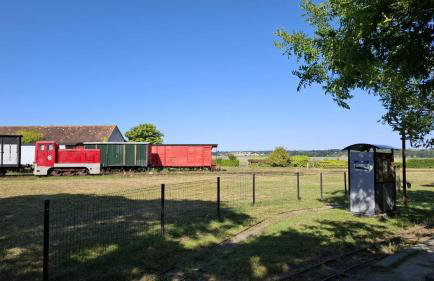 O nid des greves - Foto 45