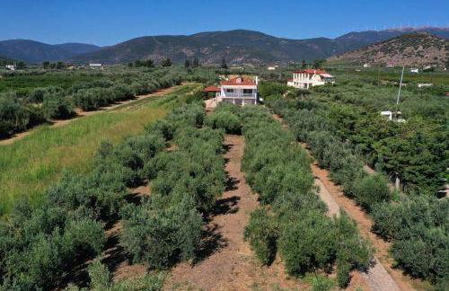 Villa of luxury and serenity - Photo 17