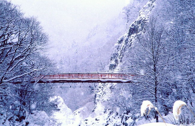 PRIMAL 2002 - Photo 72