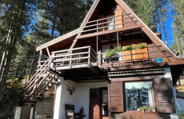 Chalet Natura Sport&Relax - Foto 3